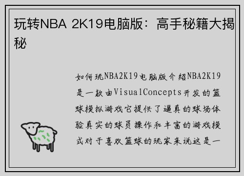 玩转NBA 2K19电脑版：高手秘籍大揭秘