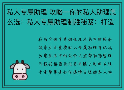 私人专属助理 攻略—你的私人助理怎么选：私人专属助理制胜秘笈：打造卓越服务体验